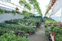 /album/azienda/dsc-0014-jpg/