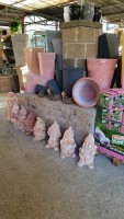 /album/galleria-foto-arredo-giardino-/a10411896-466728656795551-7624995709073982267-n-jpg/